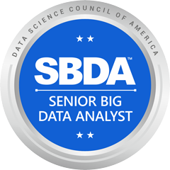 senior big data analyst senior big data analyst