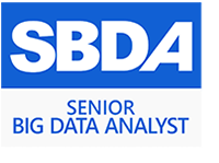 senior big data analyst